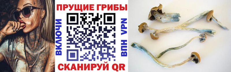 Псилоцибиновые грибы Magic Shrooms  дарнет шоп  Данилов 